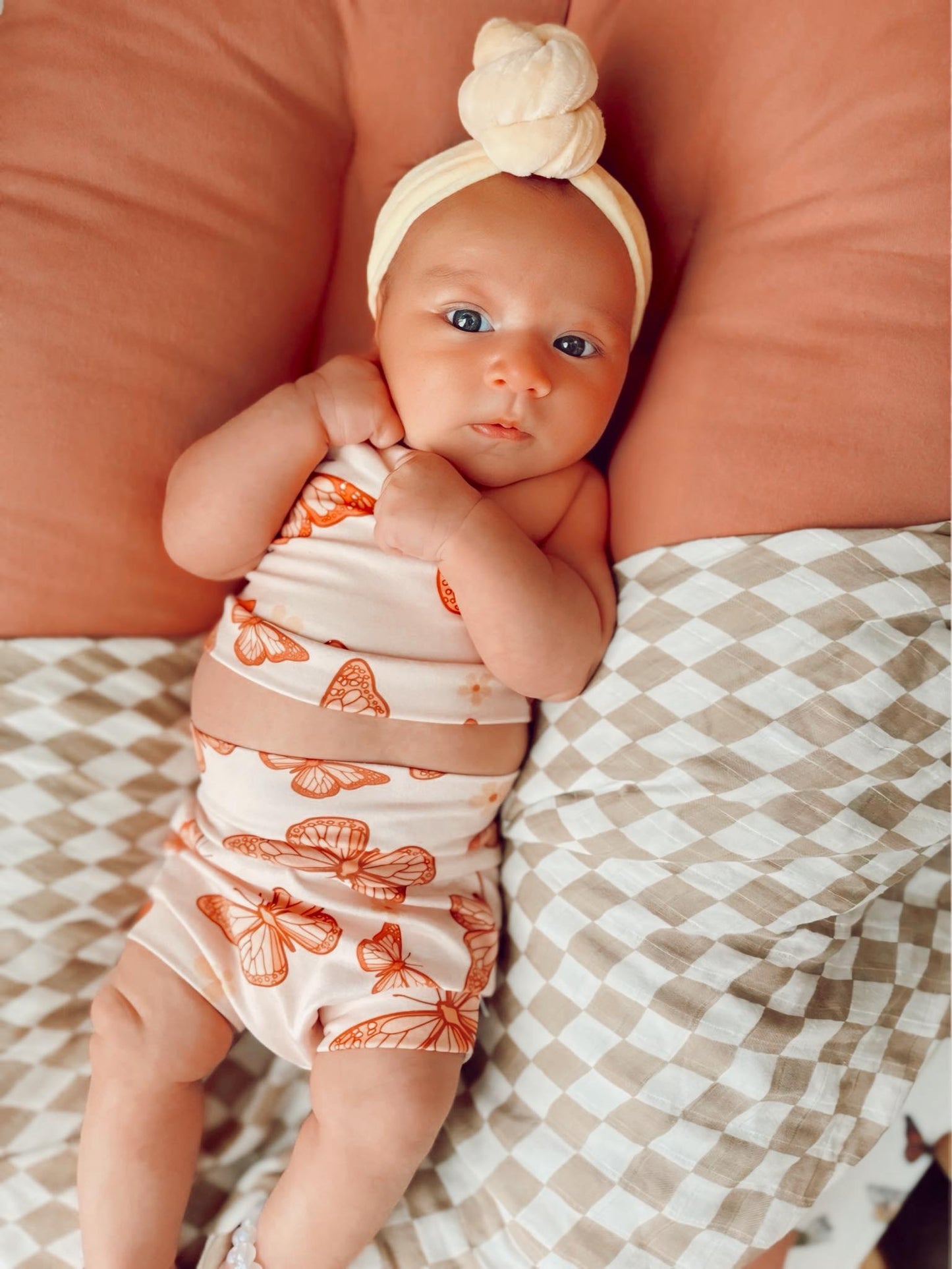 Plush Velvet: Apricot Cream