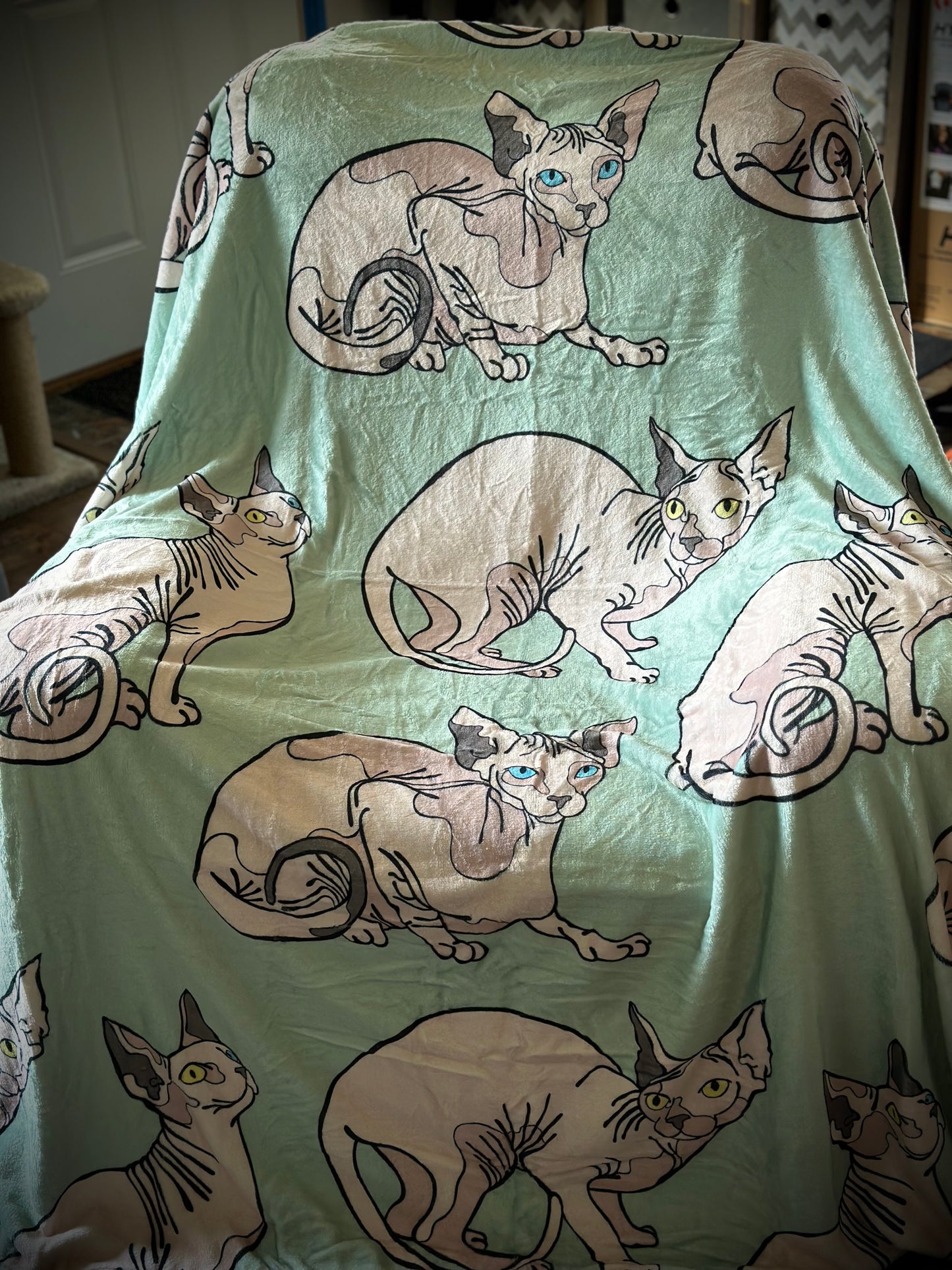 Sphinx Mint Minky Blankey 60x80