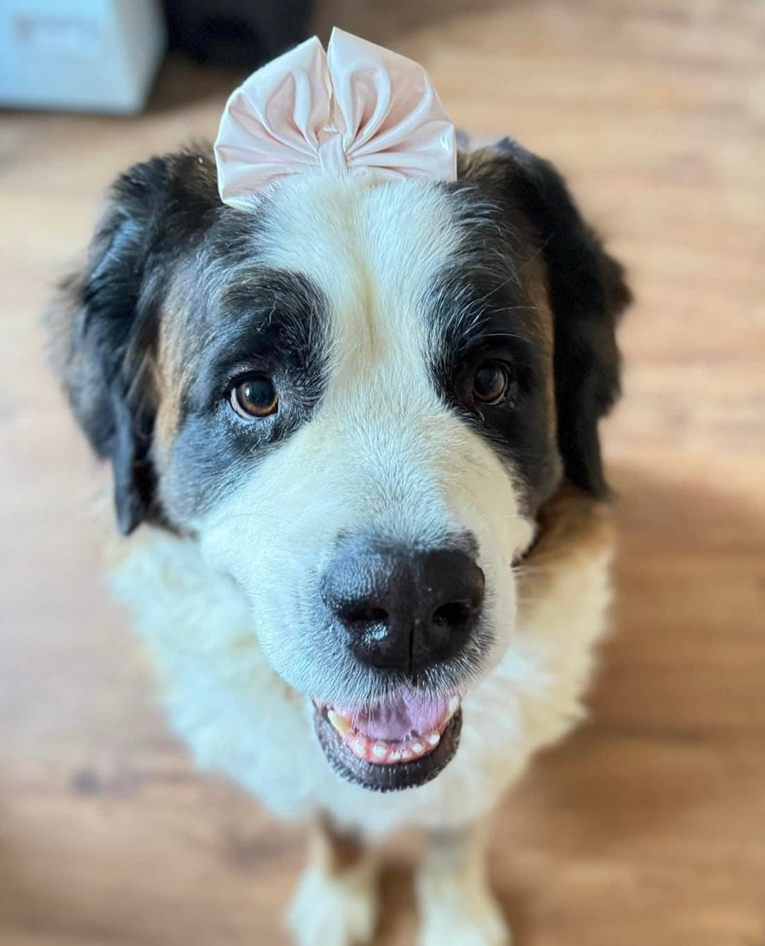 Patent Leather: Nude