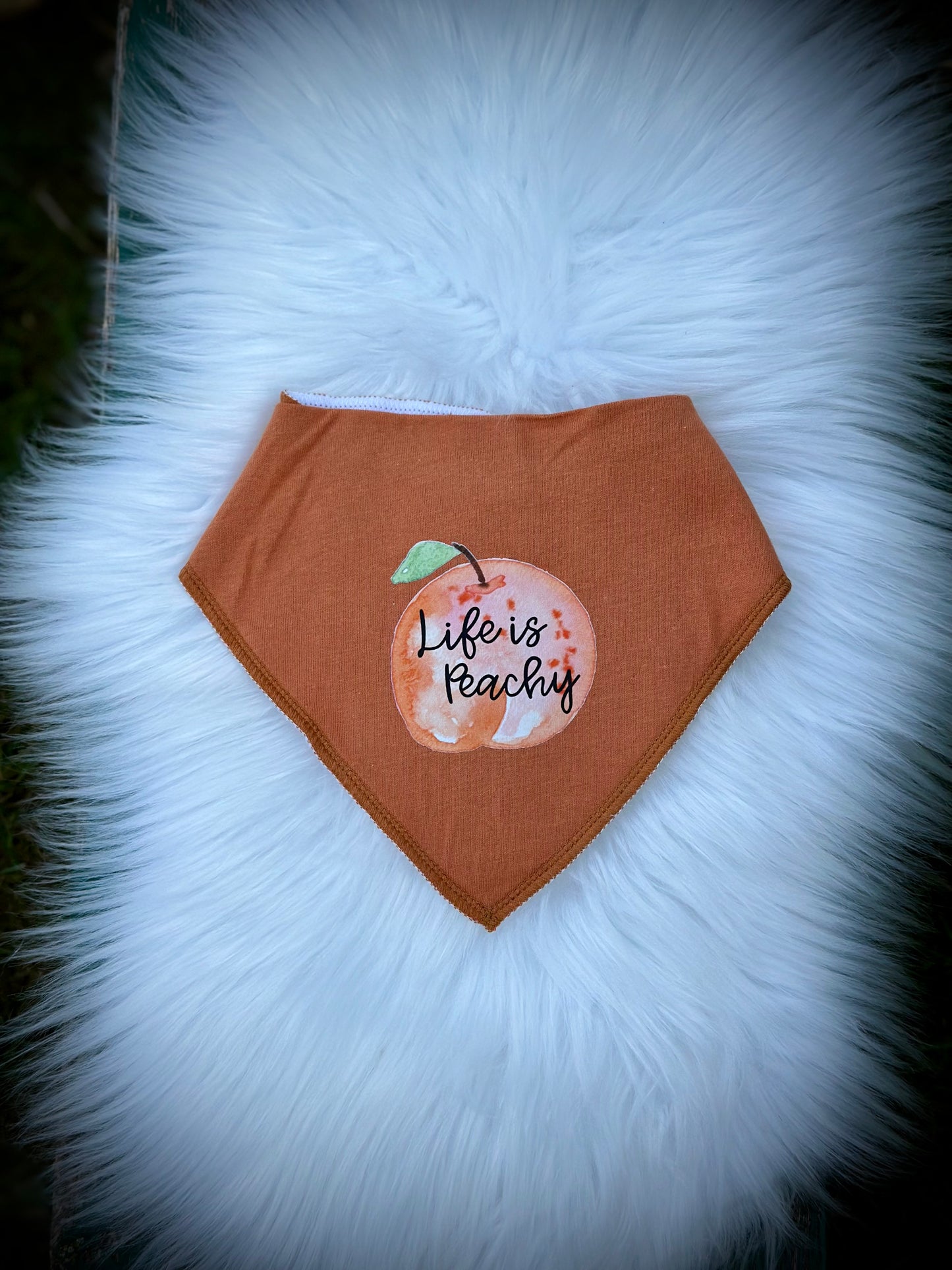 Drool Bibs