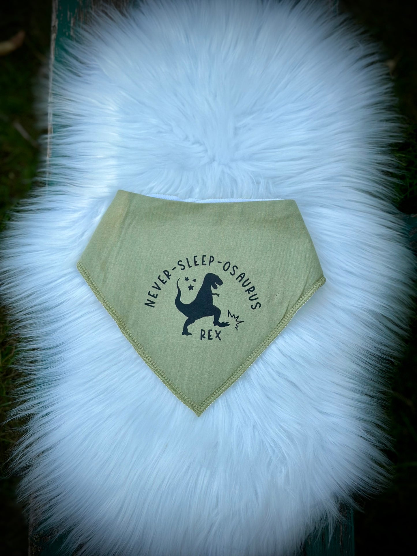 Drool Bibs