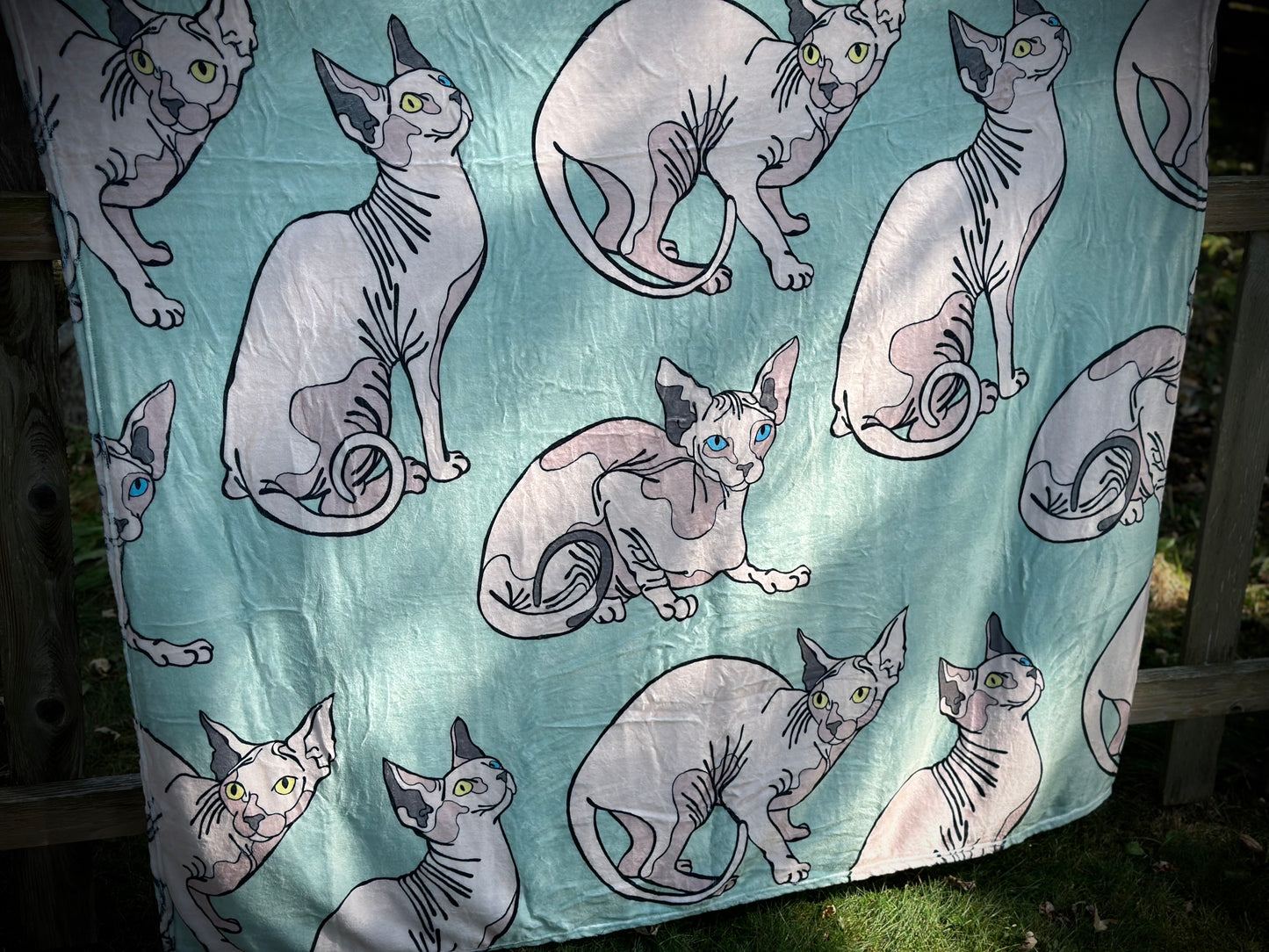 Sphinx Mint Minky Blankey 60x80