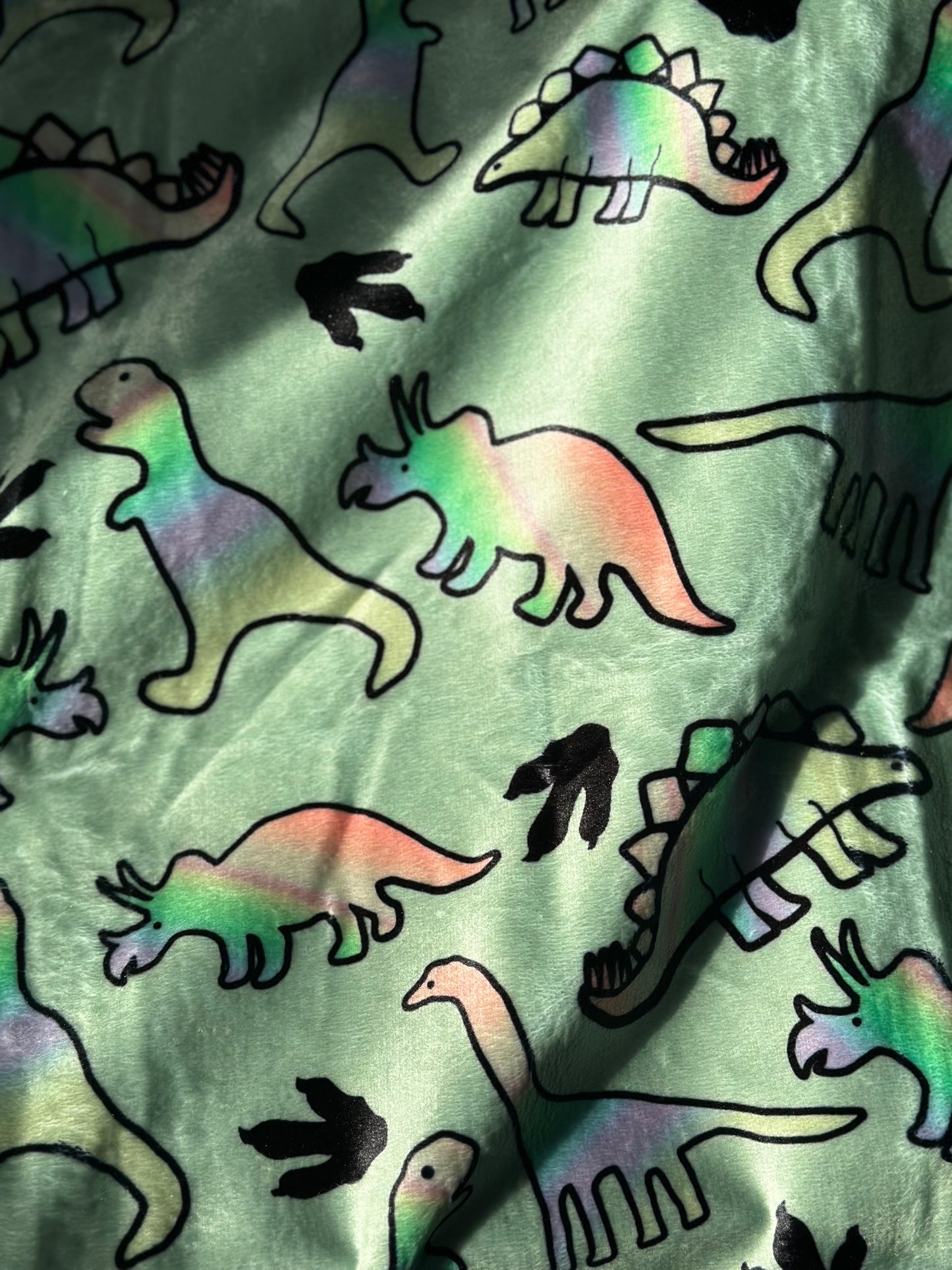 Dino-Snore Green Minky Blanket